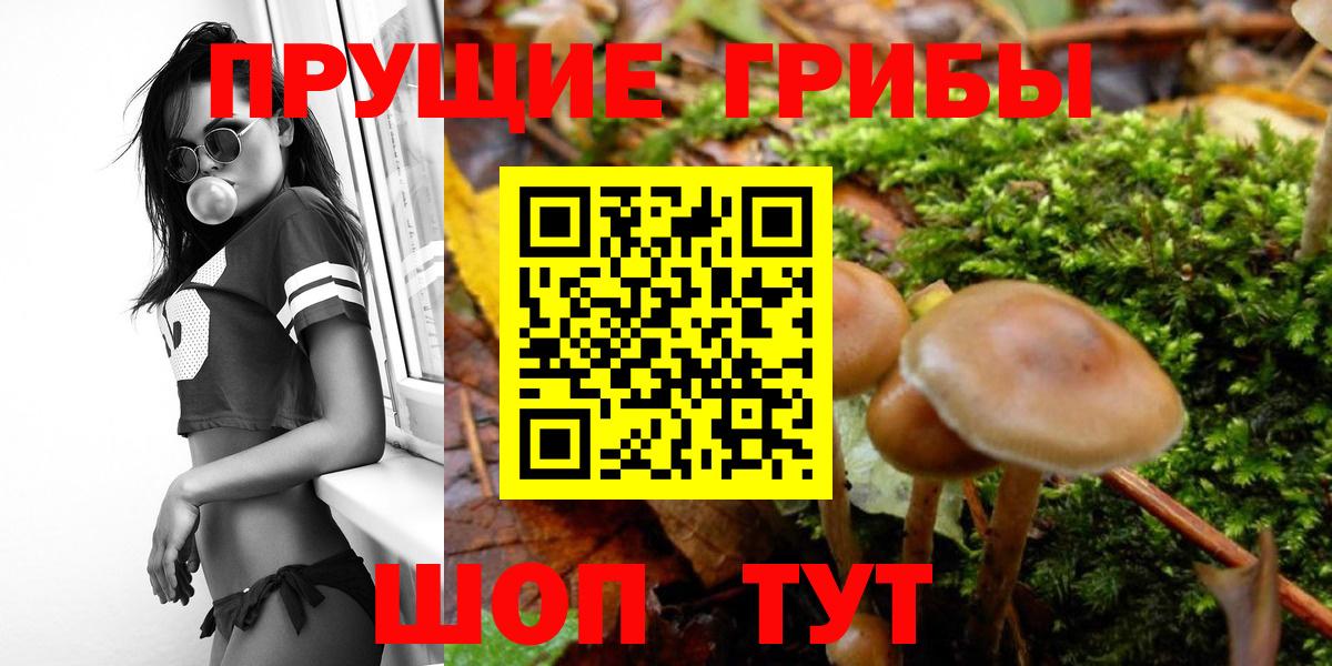 Галлюциногенные грибы GOLDEN TEACHER Городец