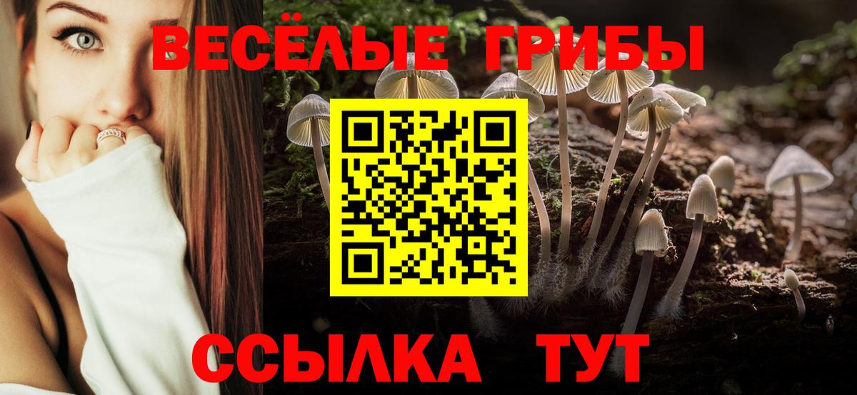 Городец  Псилоцибиновые грибы GOLDEN TEACHER  Вход с VPN 